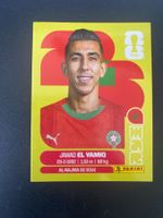 Panini FIFA World Cup Sticker MAR 8